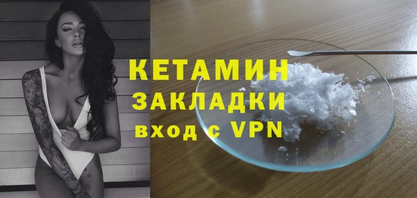 индика Туринск