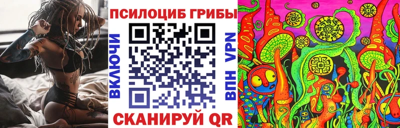 где можно купить наркотик  Чёрмоз  Галлюциногенные грибы Psilocybe 