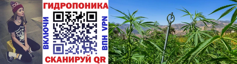 Канабис VHQ Чёрмоз
